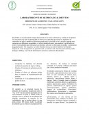 HIDRÓLISIS DE ALMIDONES Y GELATINIZACIÓN LABORATORIO N°2 DE QUIMICA DE ALIMENTOS