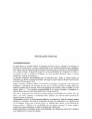 PRÁCTICAS DEL LENGUAJE. FUNDAMENTACIÒN.