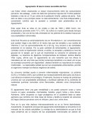 Aguaymanto: El tesoro incaico escondido del Perú