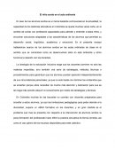 EL NIÑO SORDO EN EL AULA ORDINARIA