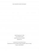 CASO COMPAÑÍA FLORES”ALBA MARIA”