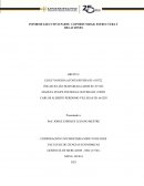 INFORME EJECUTIVO PARTE 1: OPORTUNIDAD, ESTRUCTURA Y RELACIONES