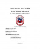 ARCHIVOS DE AUDITORIA FINANCIERA