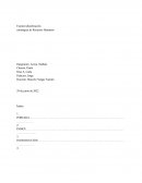 Examen planificación estratégica de Recursos Humanos