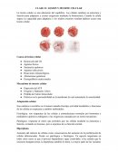 CLASE #1: LESION Y MUERTE CELULAR