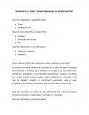 Oportunidades de exportación