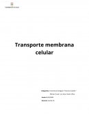TRASPORTE DE LA CELULA