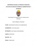 Serie de Negocios “El Aprendiz”