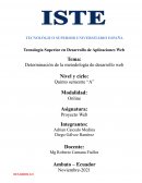 DETERMINACION DE LA METODOLOGIA DE DESARROLLO WEB