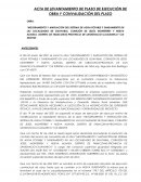 Acta de levantamiento de plazo de ejecución de obra y convalidación del plazo