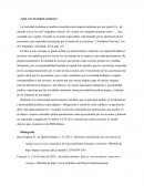 ¿Qué es la Sociedad Anónima?