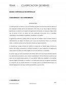 CLASIFICACION DE BIENES