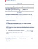 Examen parcial Ergonomía