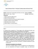 Casos de Derecho Penal 1: Principios Constitucionales del Derecho Penal