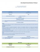 INFORME DE PLAN DE TRABAJO PEMC
