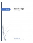Bacteriología