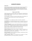 ANGIOGRAFIA CEREBRAL FISIOLOGIA