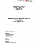 ANALISIS FINANCIERO “CASO GARZA AZUL”
