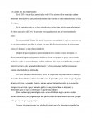 Lider en mi comunidad