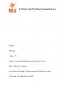 Esquema general del sistema nervioso