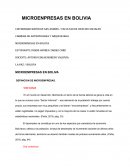 MICROENPRESAS EN BOLIVIA