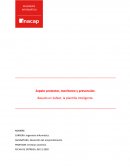 Zapato protector, monitoreo y prevención. Basado en Safeet, la plantilla inteligente