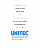 Alta dirección y liderazgo