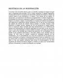 BIOFÍSICA DE LA RESPIRACIÓN