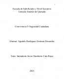 Convivencia Y Seguridad Ciudadana