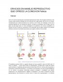 SERVICIOS EN MANEJO REPRODUCTIVO QUE OFRECE LA CLÍNICA EN Felinos