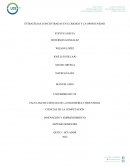 ESTRATEGIAS CONCENTRADAS EN EL RIESGO Y LA OPORTUNIDAD