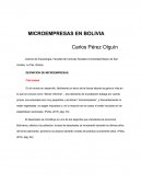 MICROEMPRESAS EN BOLIVIA