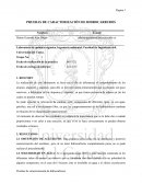 PRUEBAS DE CARACTERIZACIÓN DE HIDROCARBUROS