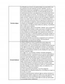 Etapas de la filosofia