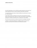 Alternativas de gestion social