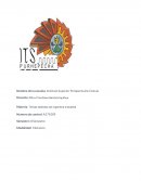 Temas selectos de Ingeneria industrial