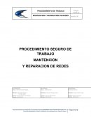 MANTENCION Y REPARACION DE REDES