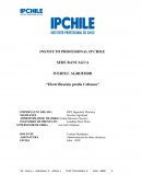 Electrificación predio Coltauco