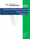Sistemas de información para la administración