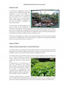 PROPIEDADES BIOLÓGICAS DE LOS SUELOS