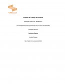 Papeles de auditoria