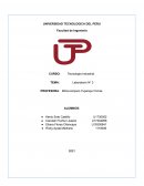 Laboratorio Tecnologia Industrial fabricación de los snacks de pap