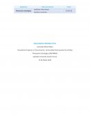 Caso práctico: Benetton S.P.A