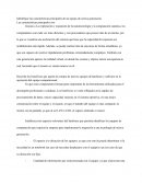 Identifique las características principales de un equipo de octava generación