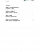 Listado de control general de vuelos