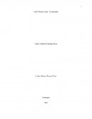 Solución Caso Practico Clase 2 Estrategia