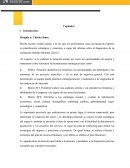 CASO DE ESTUDIO MOMMA CHERRI´S