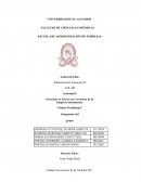 Inversión en Activos no Corrientes de la Empresa Salvadoreña