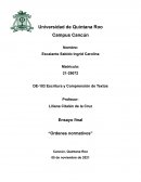 Ensayo final “Ordenes normativos”