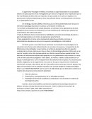 El papel de la Psicología en Mexico